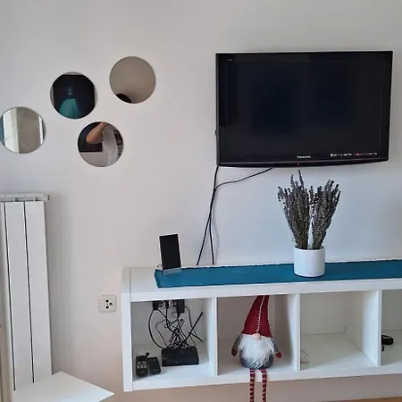 Aurora With The View