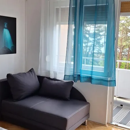 Apartament Aurora With The View *