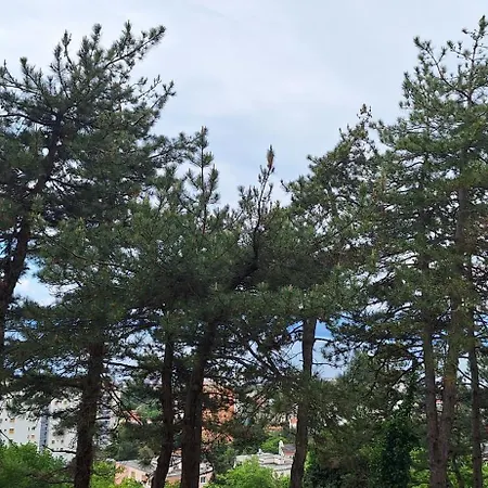 公寓 Aurora With The View 里耶卡