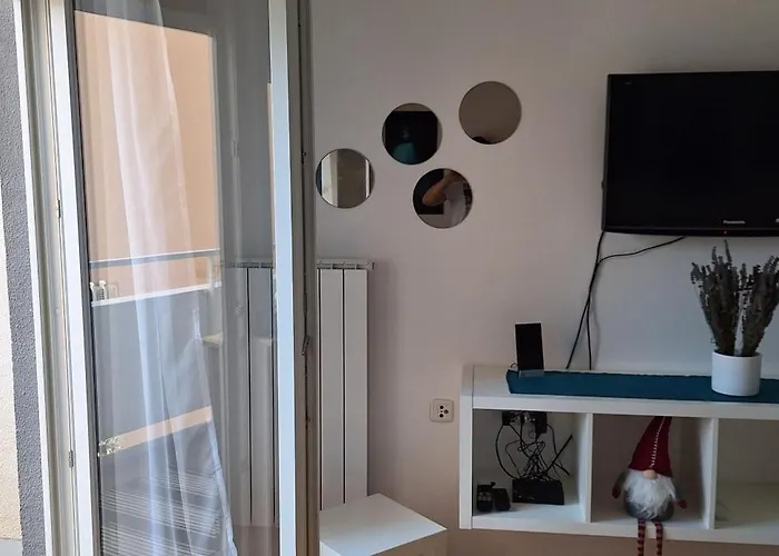 Aurora With The View 里耶卡