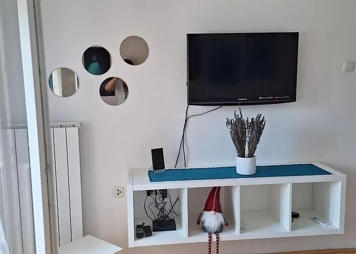 Aurora With The View