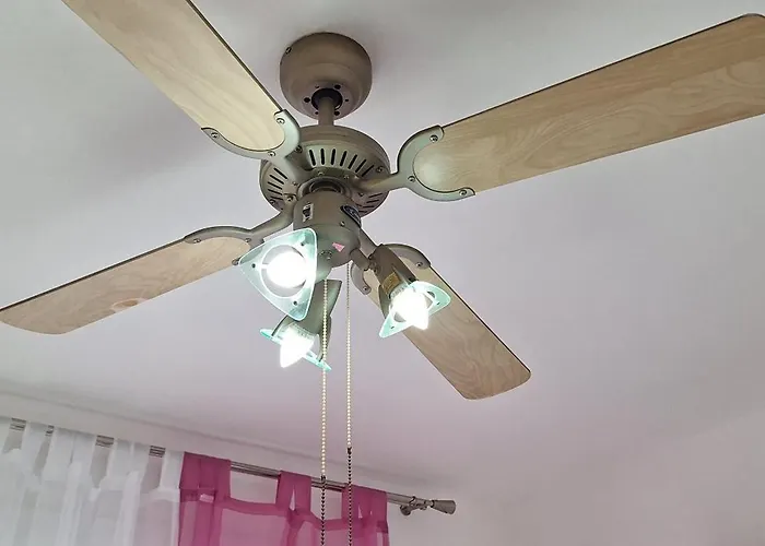 Aurora With The View