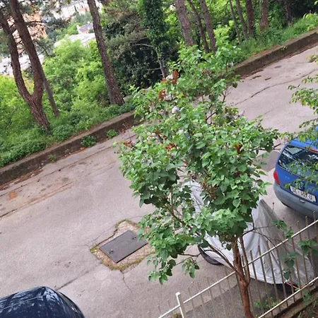 Aurora With The View Fiume