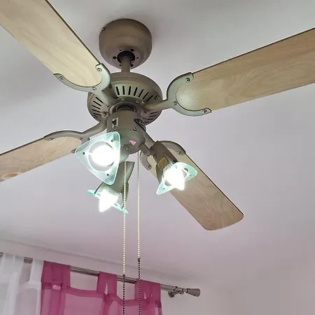 Aurora With The View