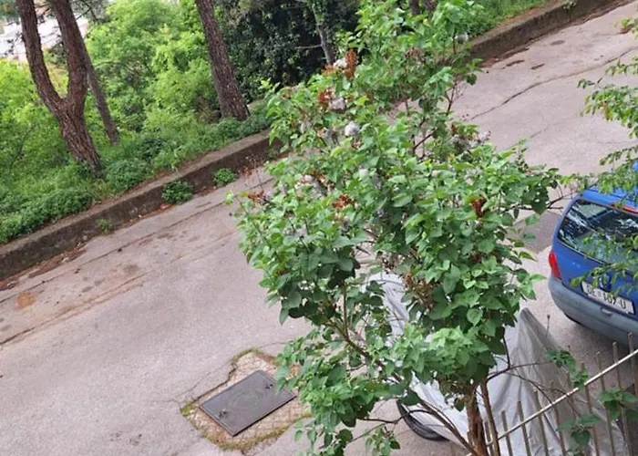 Aurora With The View Fiume