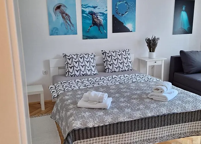 Apartman Aurora With The View *