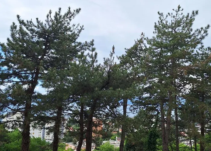 Apartman Aurora With The View Fiume